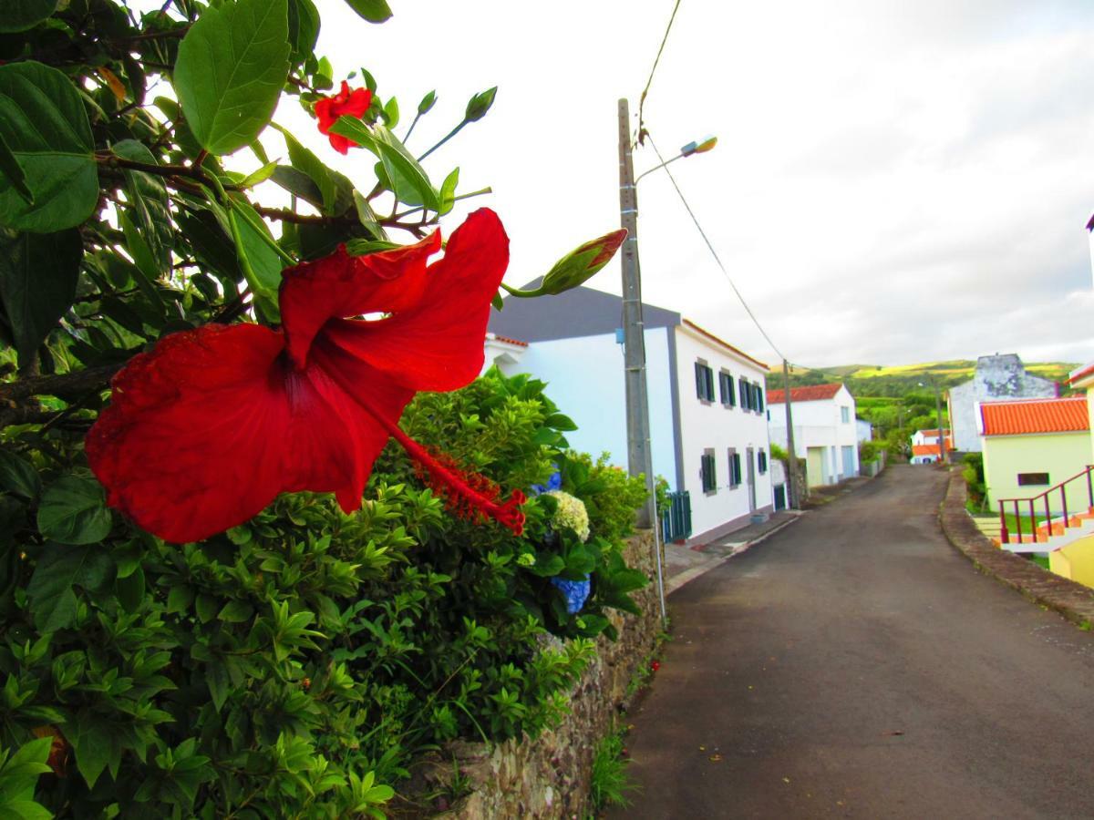 Casa L&M Apartment Lajes das Flores Екстериор снимка